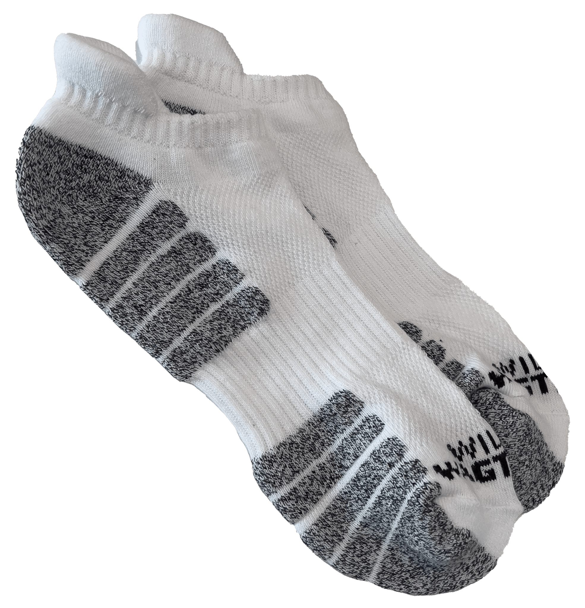 White - Organic Cotton Socks - Willie Wagtail