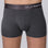 Grey Slate - Trunks